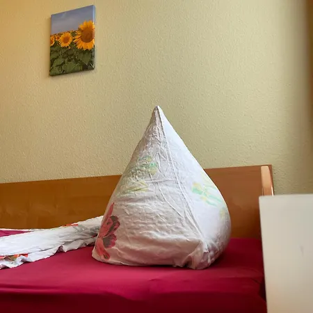 Leyerhof Bed & Breakfast 3*